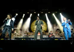 Seeed