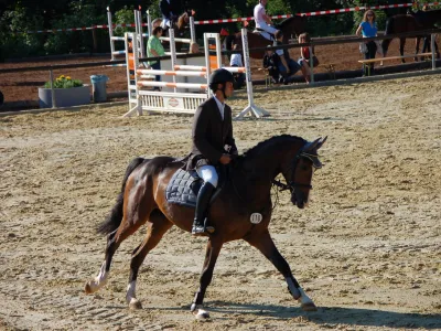 Equestrian CHIO Aachen
